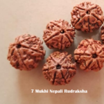 Authentic Rudraksha Research